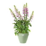 vibia campana rond 35cm pistachegroen